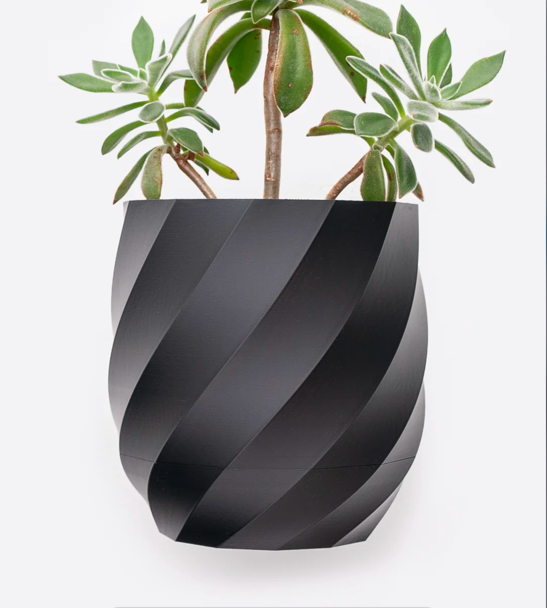 Spira Wall Planter