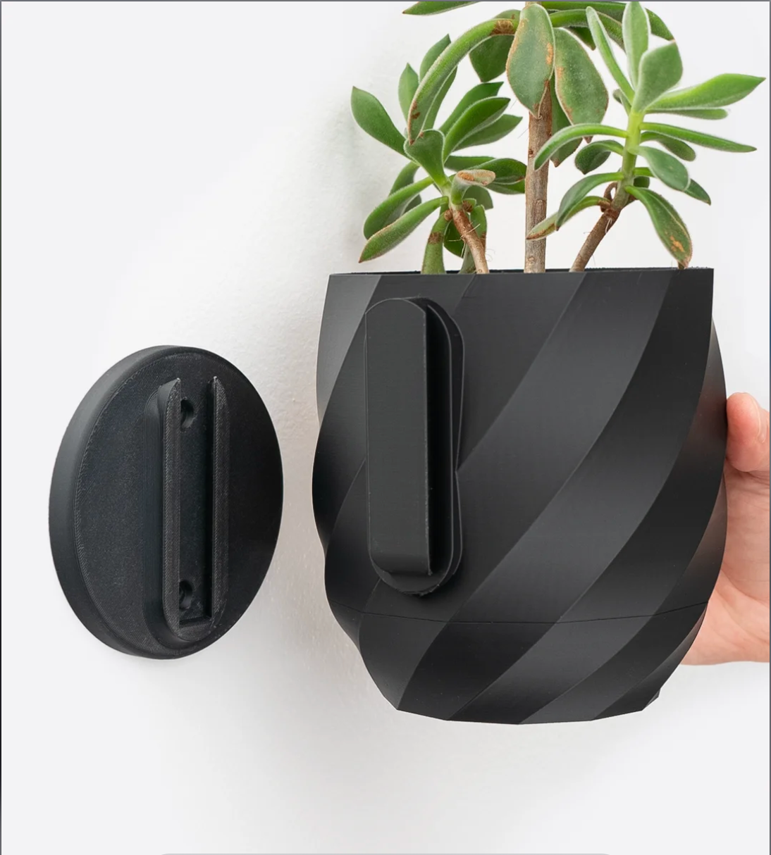 Spira Wall Planter
