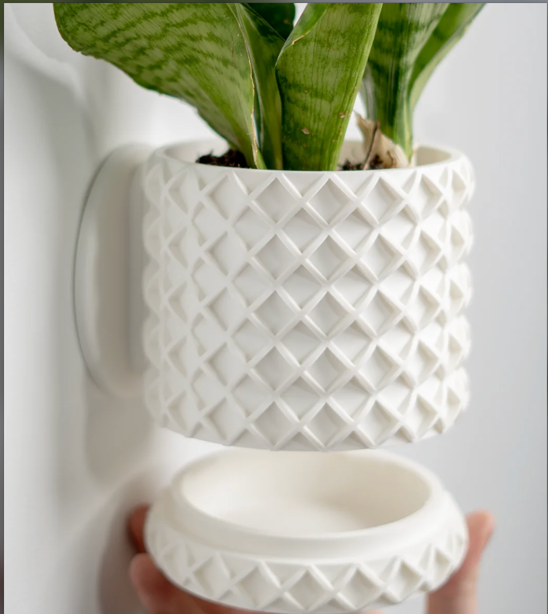 Bubble Lattice Wall-Mounted Pot.