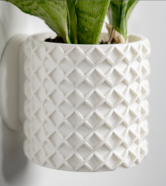 Bubble Lattice Wall-Mounted Pot.